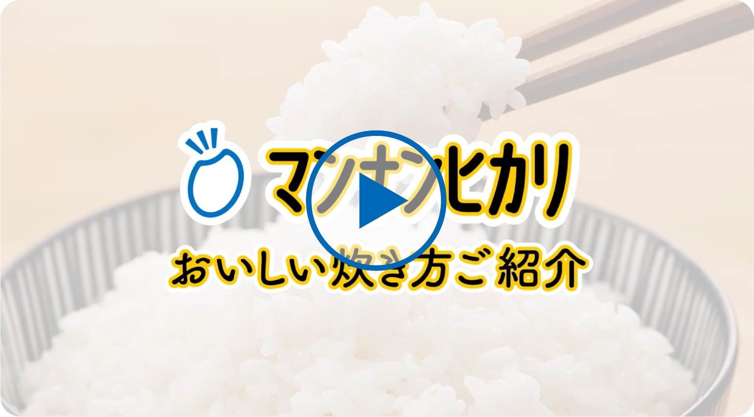 マンナンヒカリ 1キロ×4袋 マンナンヒカリ 1キロ×4袋（マンナンヒカリ 業務用の人気商品